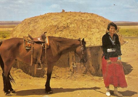 Navajo woman with horse